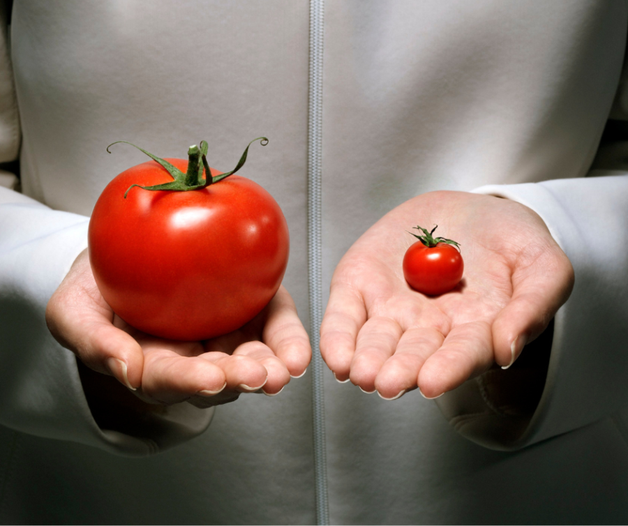 Goedkope of dure supplementen: waar zit het verschil?